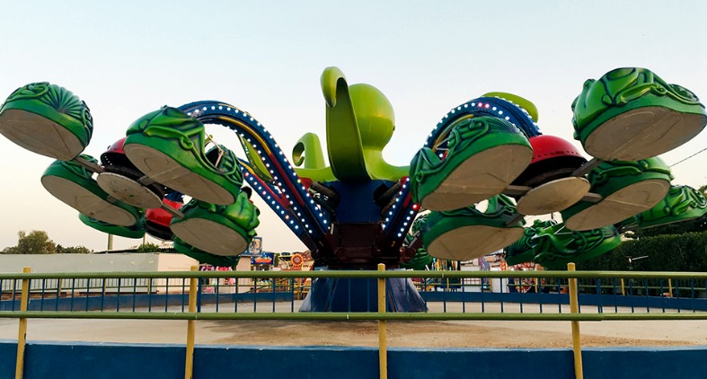 Adult ride in an amusement park