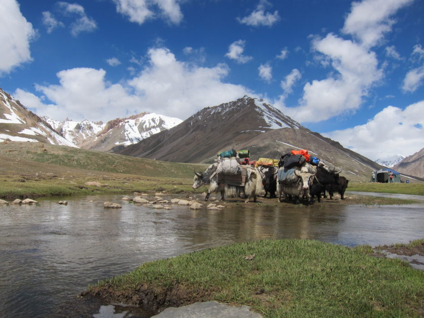 Shimshal Valley 