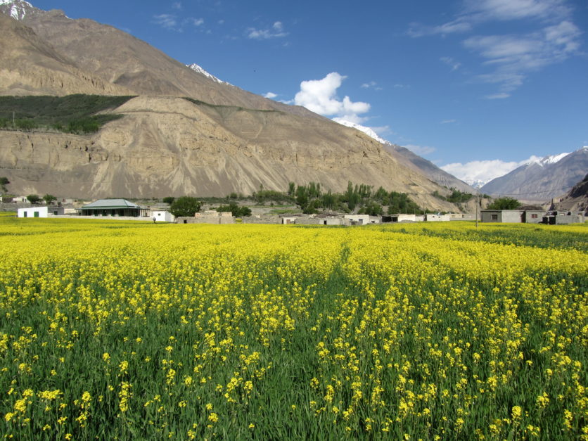 Summer_in_Shimshal Valley