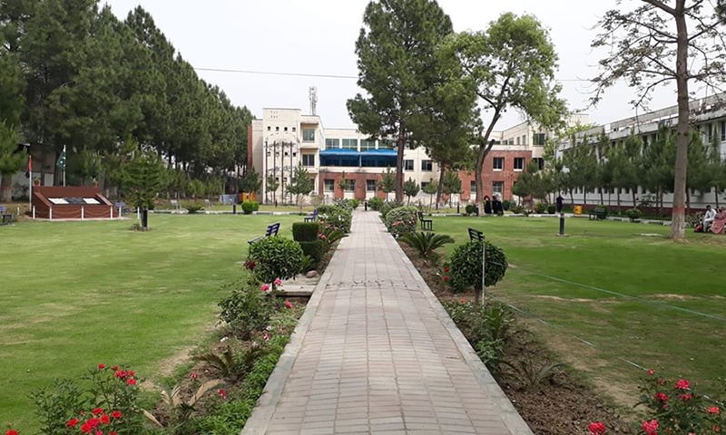 University of Malakand