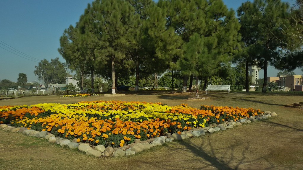 Beautiful Flowers tatara park