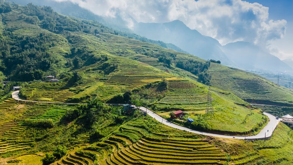 Green fields in Basho Valley