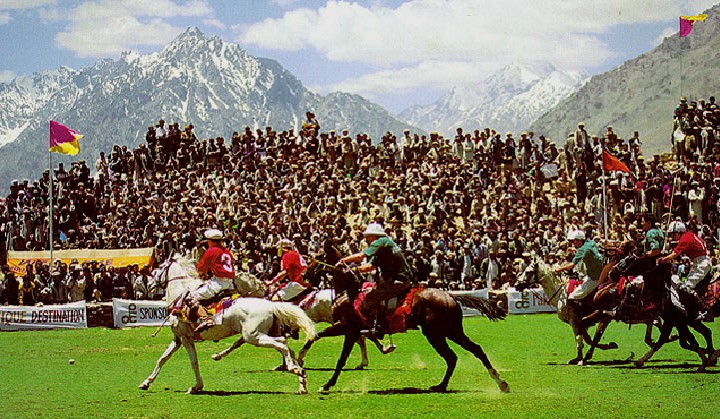 players playing a Polo on horse