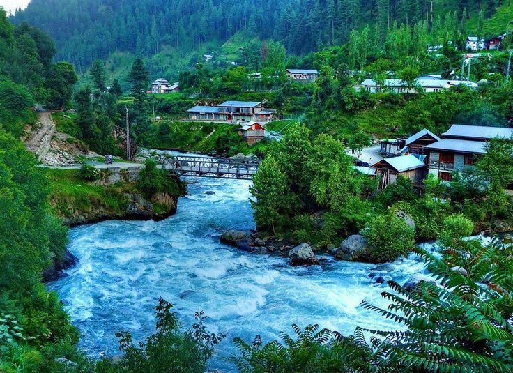 drone image showing water and greenery