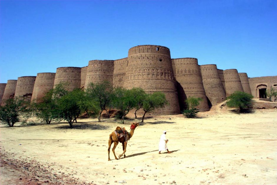 cholistan desert with camel