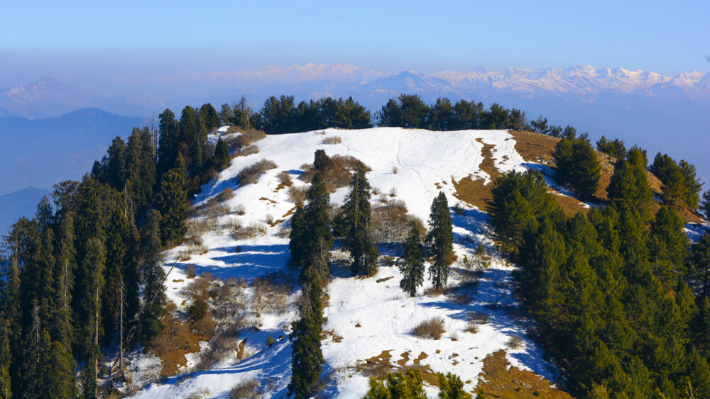 Mushkpuri top