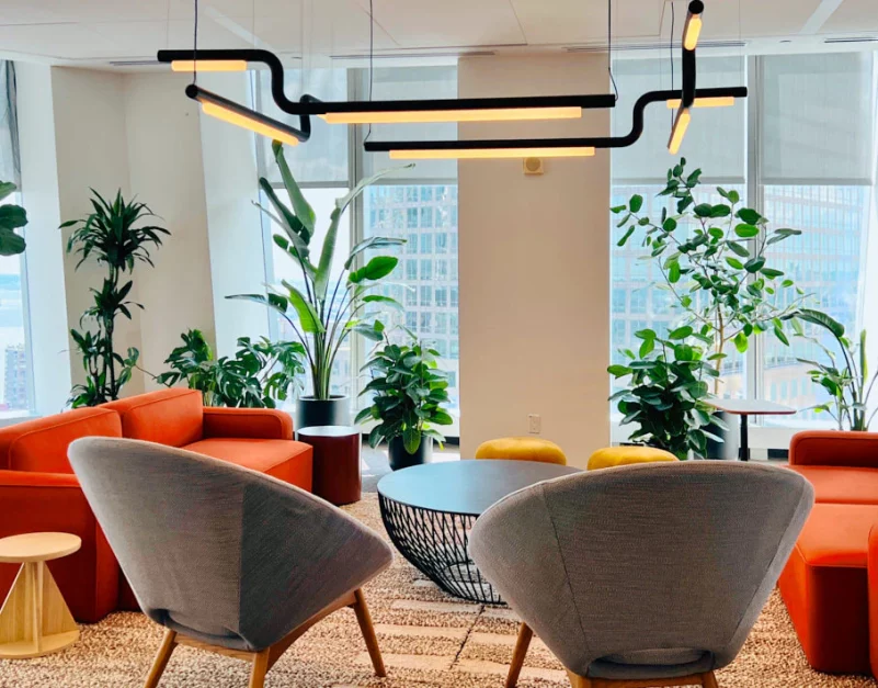 indoor plants for the office interior design 