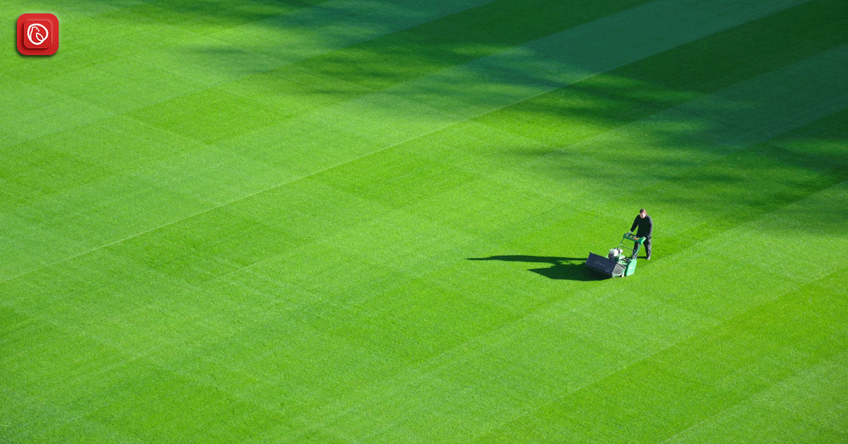 Premium Artificial Grass in Karachi: Elevate Your Space