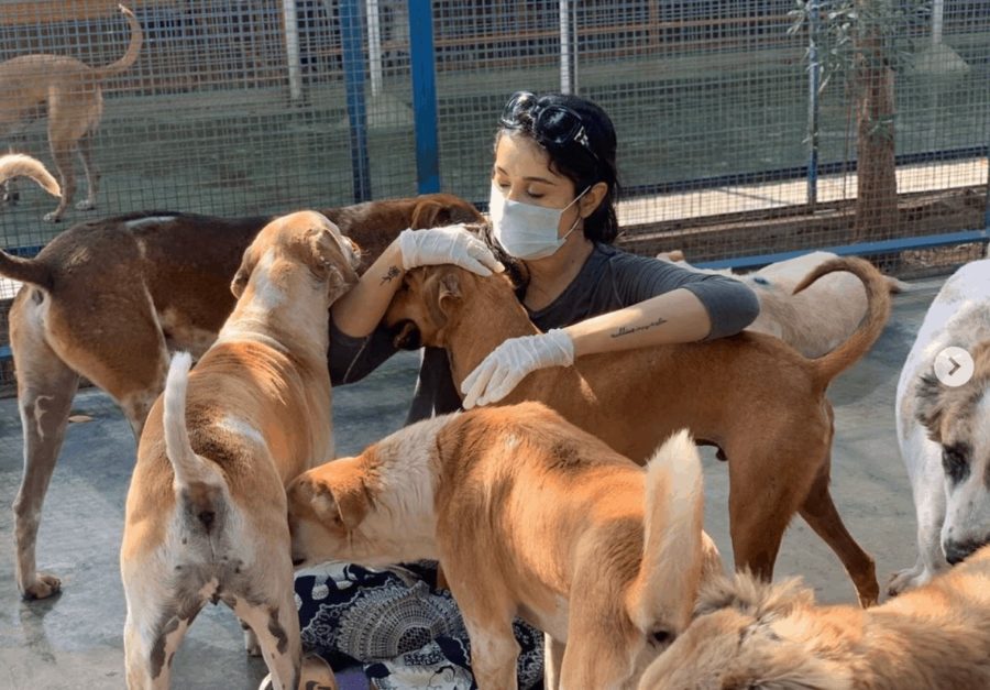 Girl with rescued dogs