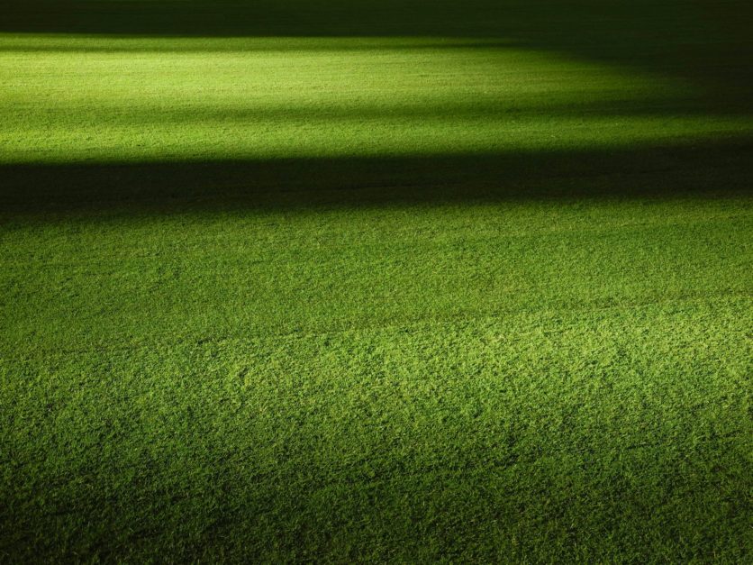 Artificial Grass in Karachi