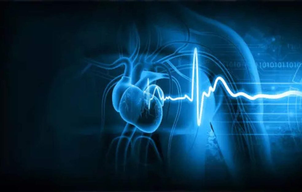 animation of ecg