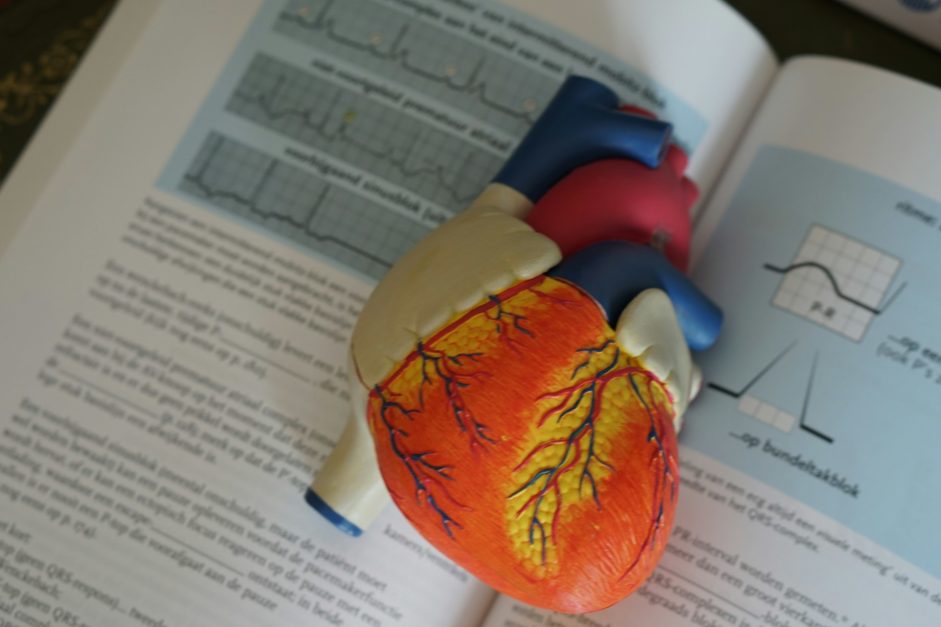 heart shape on a book