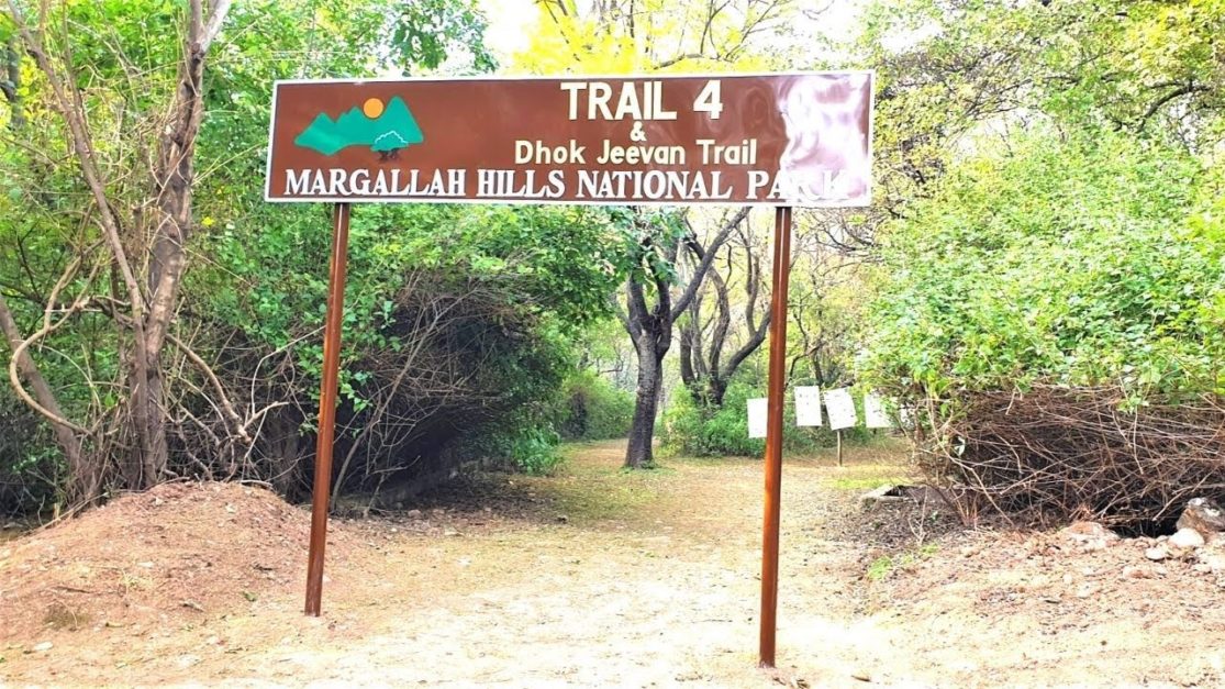 Trail 4