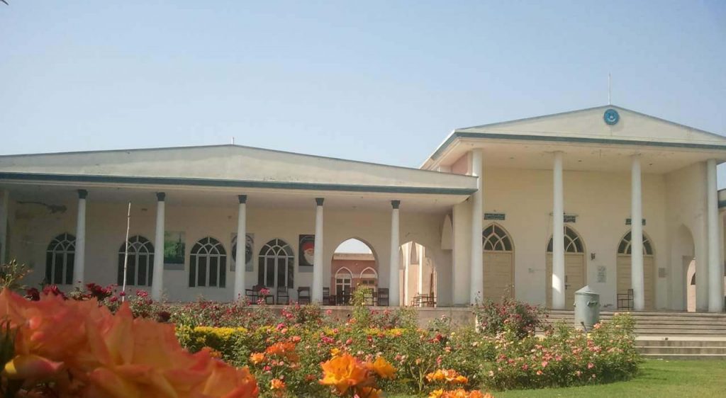 college at toba tek singh