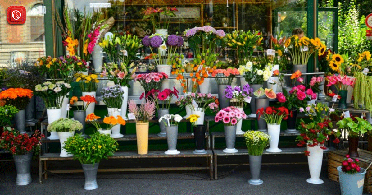 Flower Delivery Shop