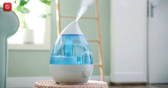 Humidifier Types in Pakistan - Benefits, Prices & More | Graana.com