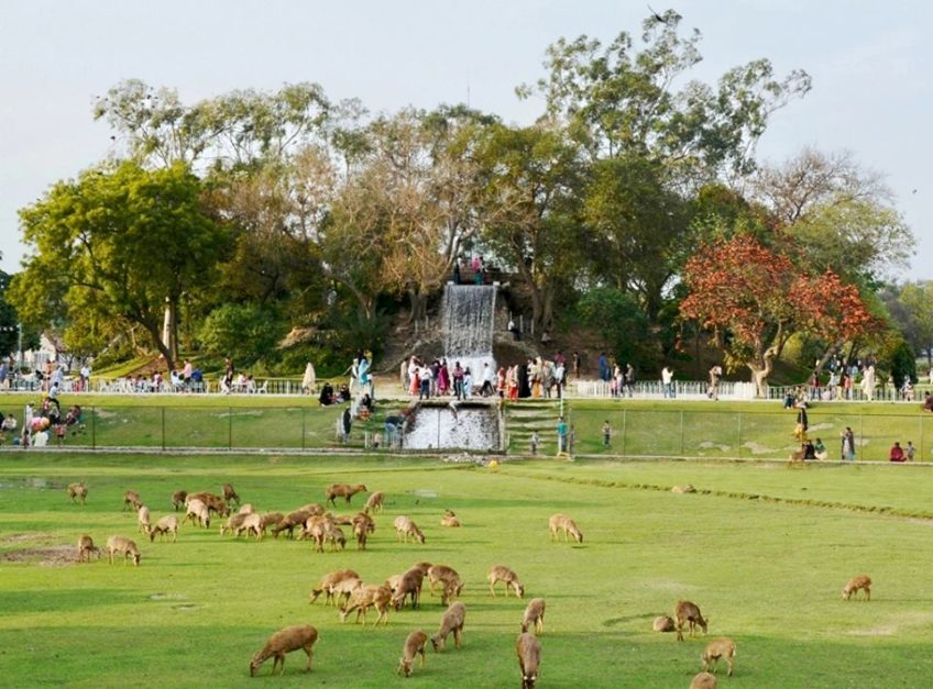 Iqbal Town Park lahore