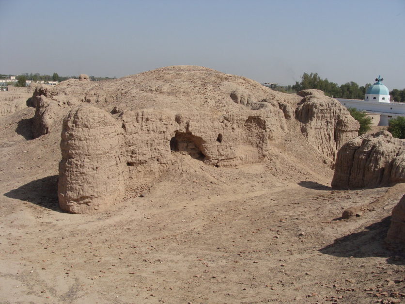 Ruins of Fort Abbas