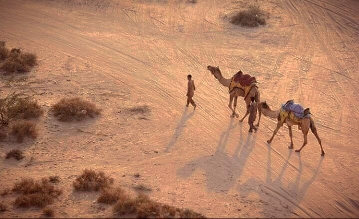 Cholistan, Sadiqabad, Rahim Yar Khan, Punjab 