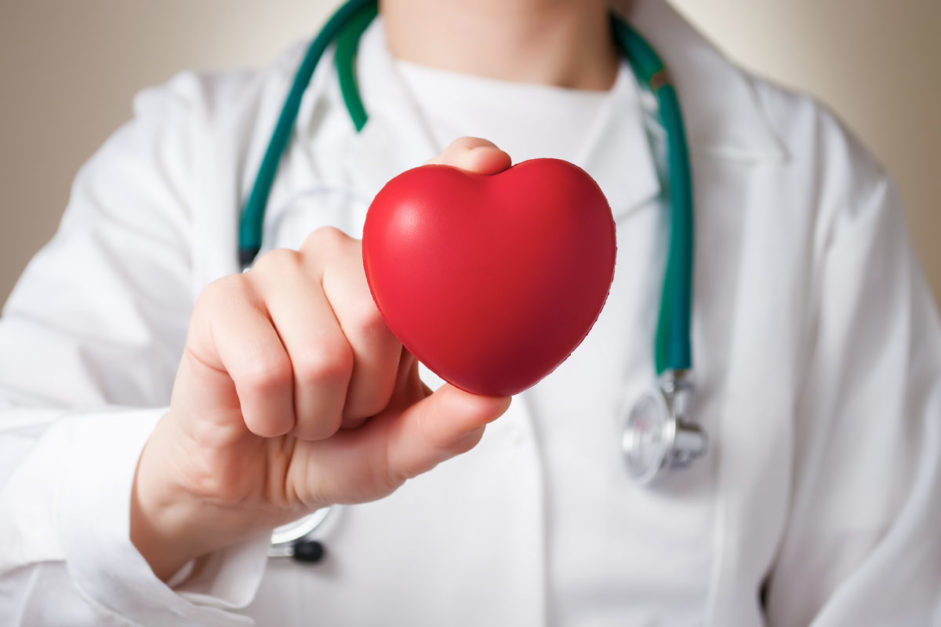 Cardiologist holding a rubber heart