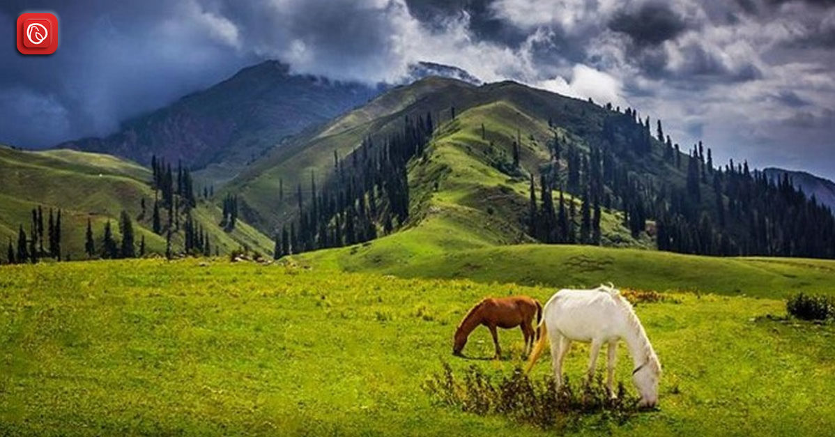 Exploring the Mesmerising Beauty of Kaghan Valley 