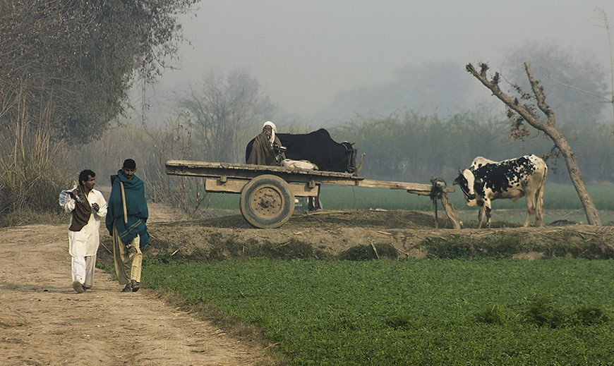 Central Punjab