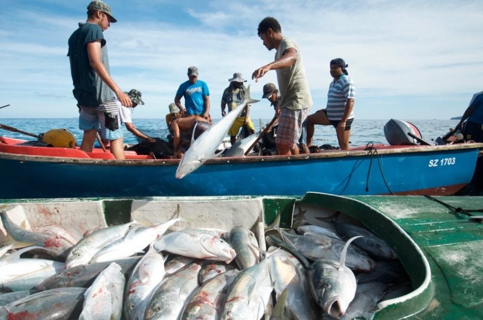 Fishing industry Sindh 