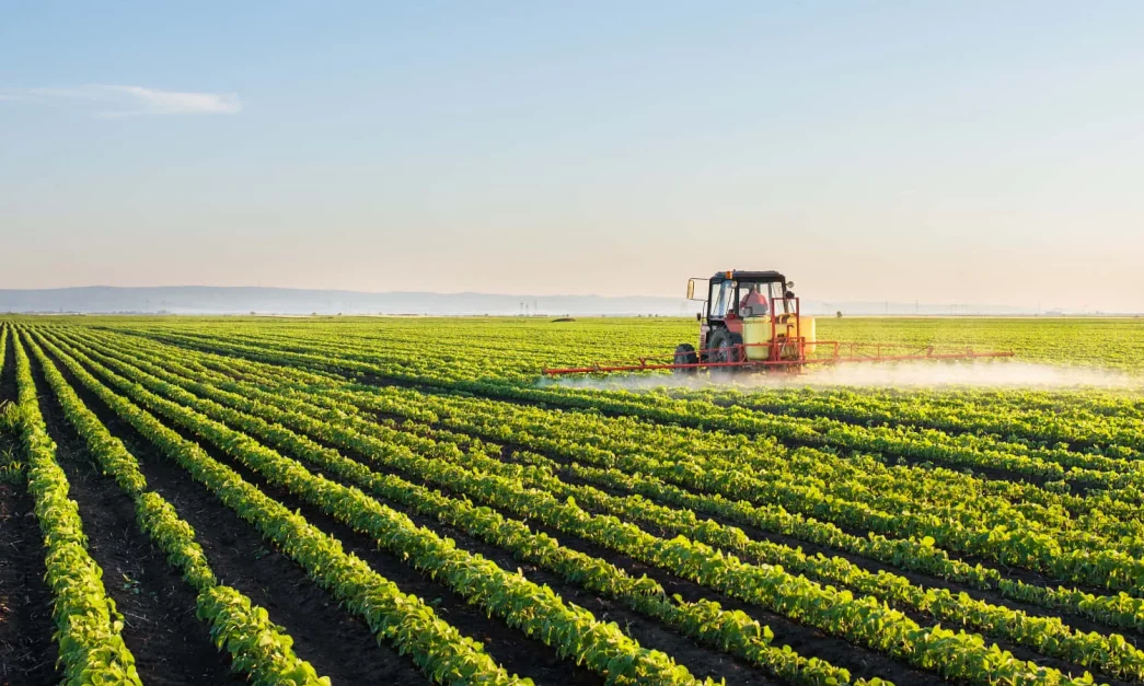 Agriculture in kpk