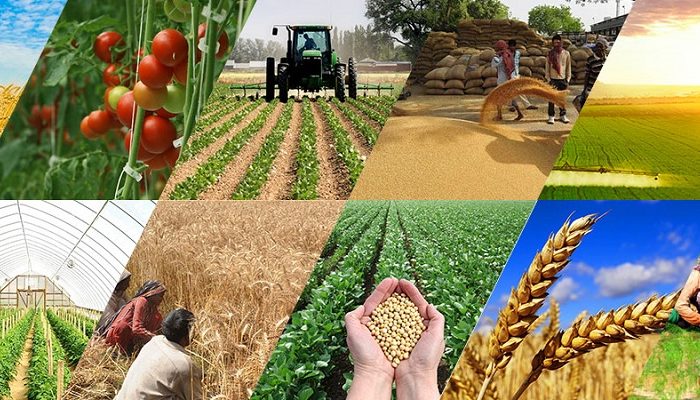 Agro based industries