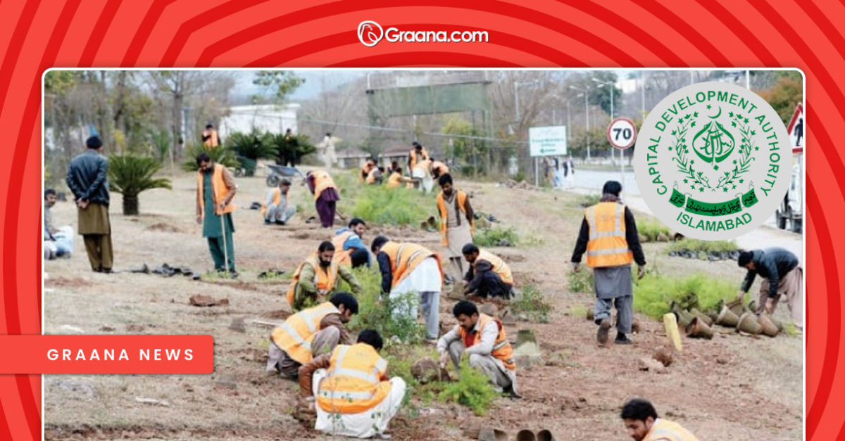 CDA Tree Plantation Campaign in Islamabad