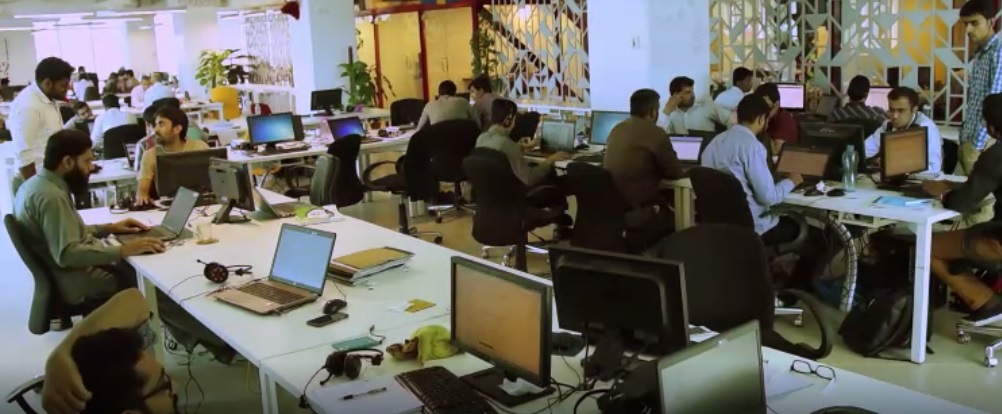 Employees working in a software house