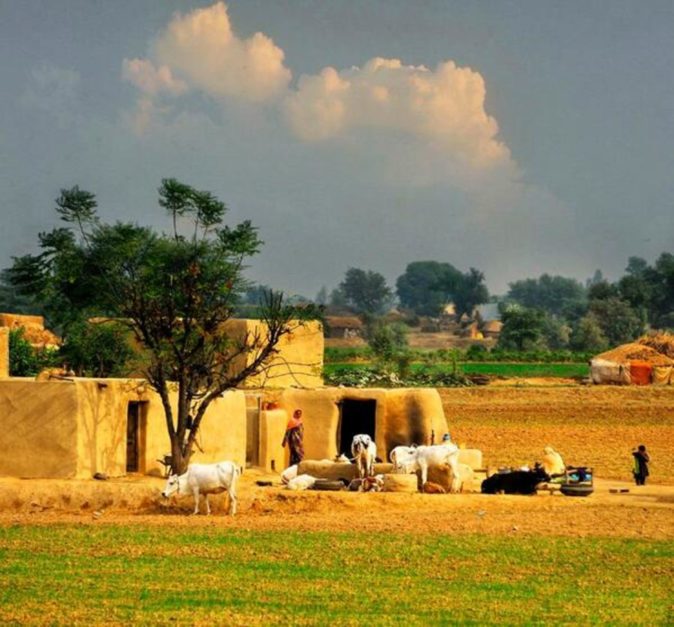 Rural Pakistan 