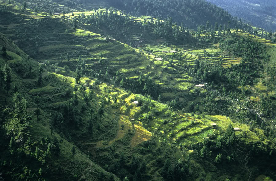 Shangla Pass Terraces 