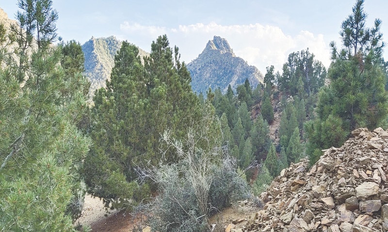 Sulaiman Peak near Paharpur