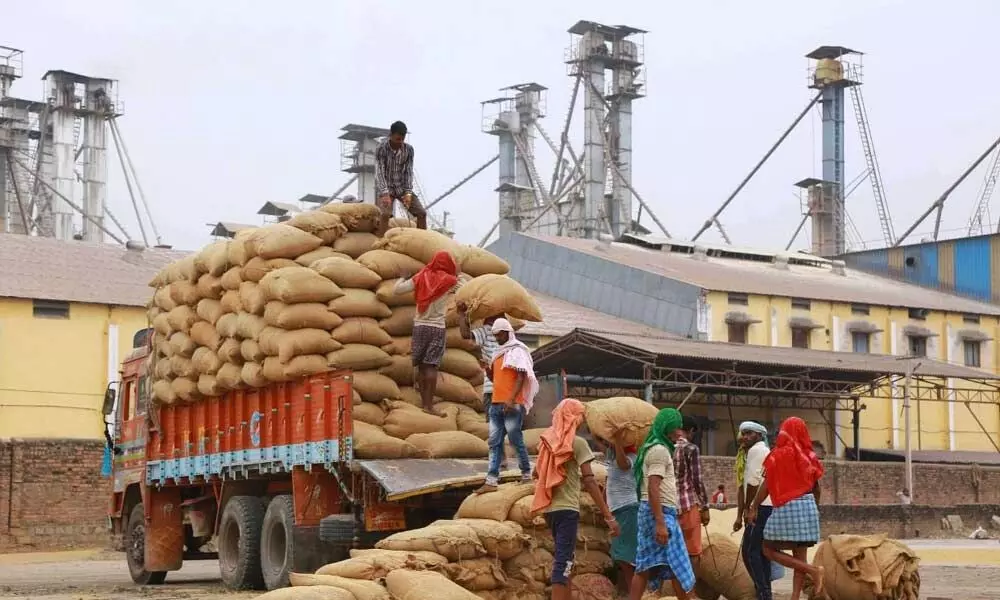 rice trucks at rice mills