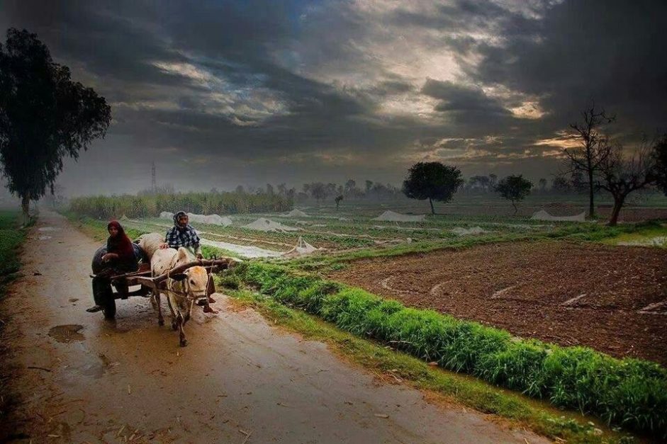 Muridwala village life