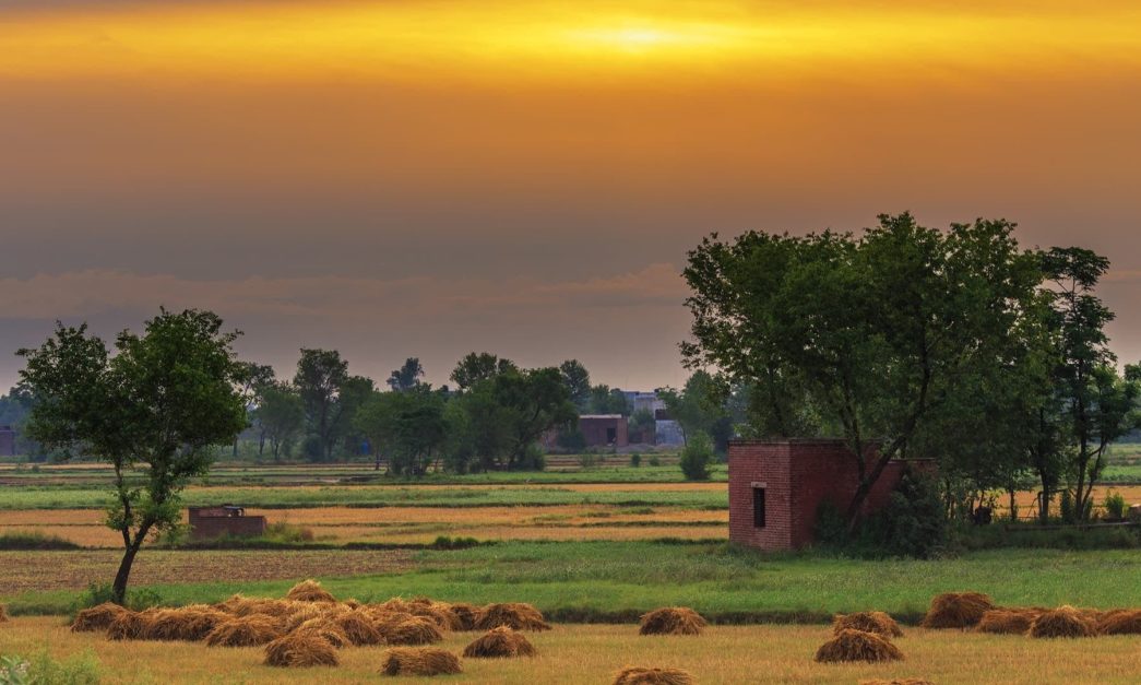 village landscape