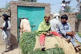 Faridkot Okara