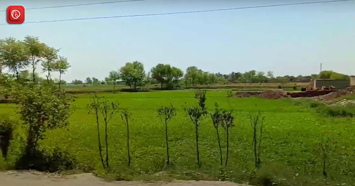 faridkot