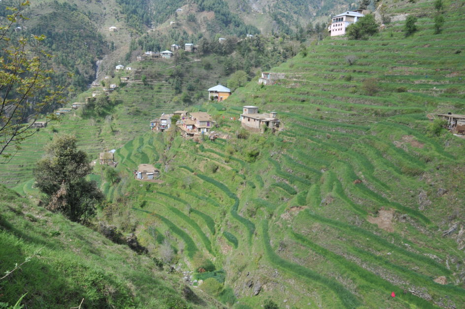 The landscape of Kabal constitutes the undulating hills