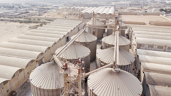 rice mills in pakistan