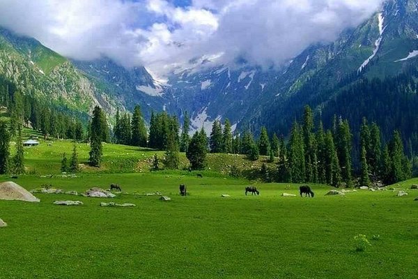 Marghuzar, a beautiful village in the Swat Valley of Pakistan, is renowned for its serene beauty