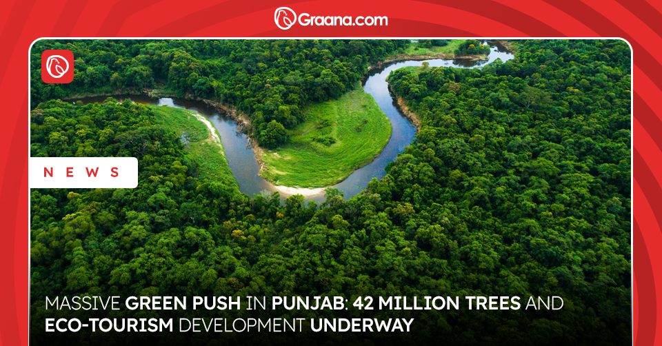 Punjab Green Program