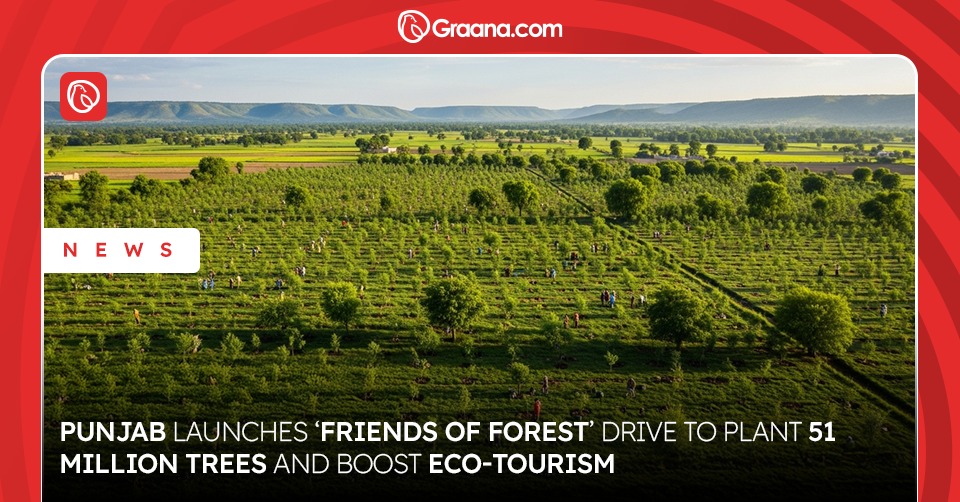 Friends of Forest